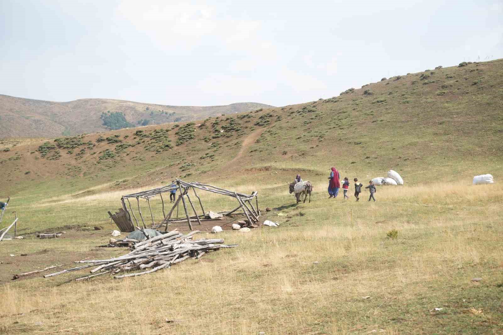 Muş’ta güneşten önce uyanan kadınların zorlu yayla mesaisi devam ediyor