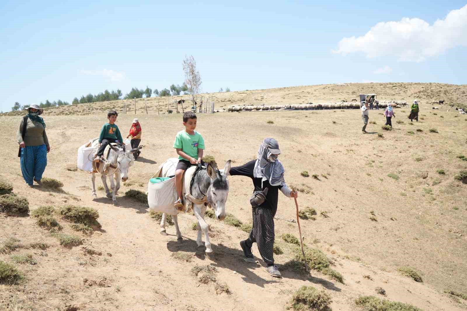 Muş’ta güneşten önce uyanan kadınların zorlu yayla mesaisi devam ediyor