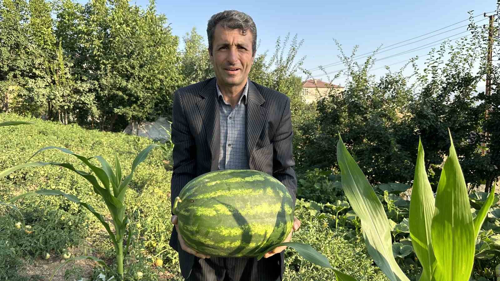 Yüksekova’da örnek çiftçi: A’dan Z’ye tüm ürünlere hayat verdi