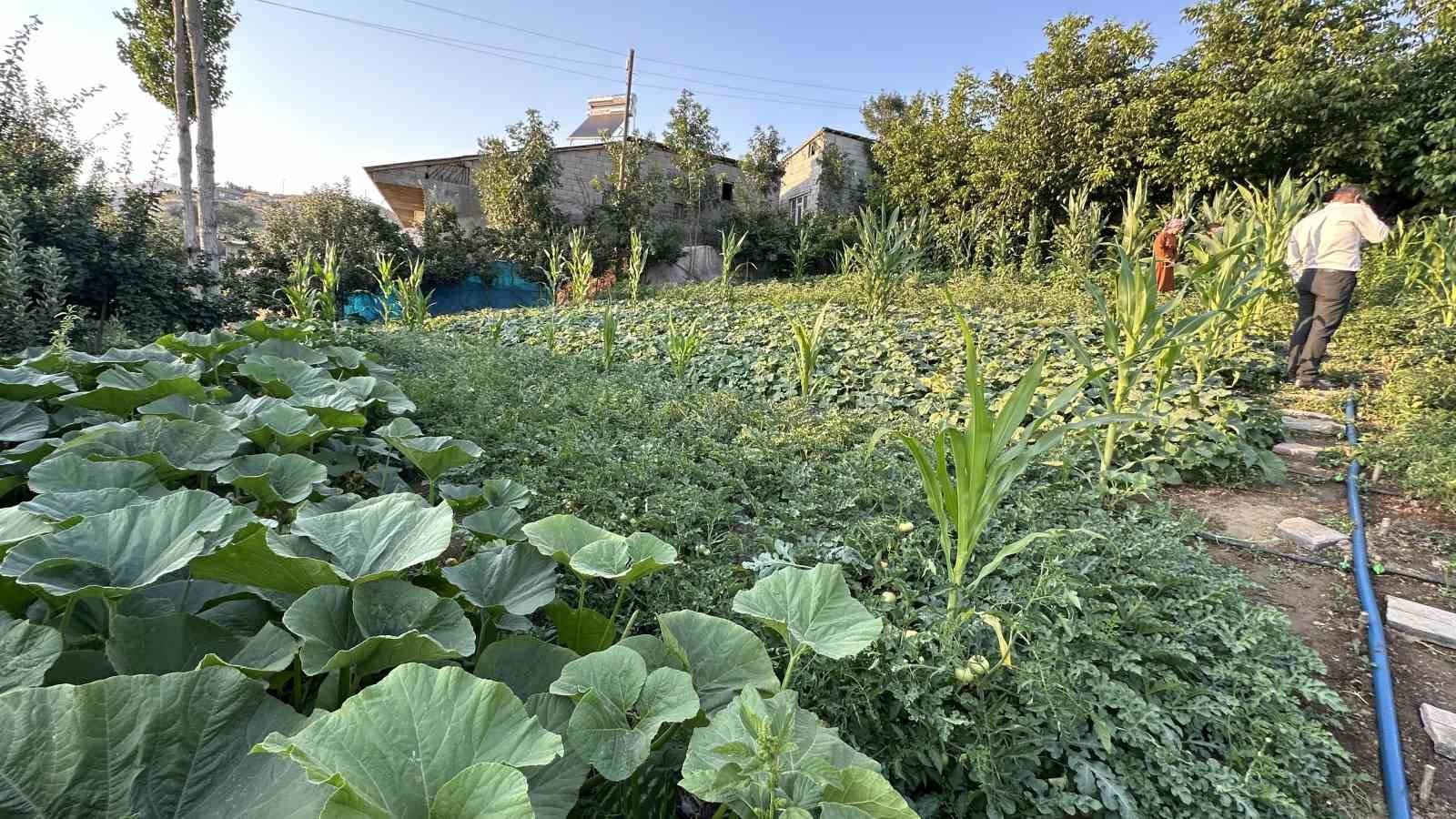Yüksekova’da örnek çiftçi: A’dan Z’ye tüm ürünlere hayat verdi