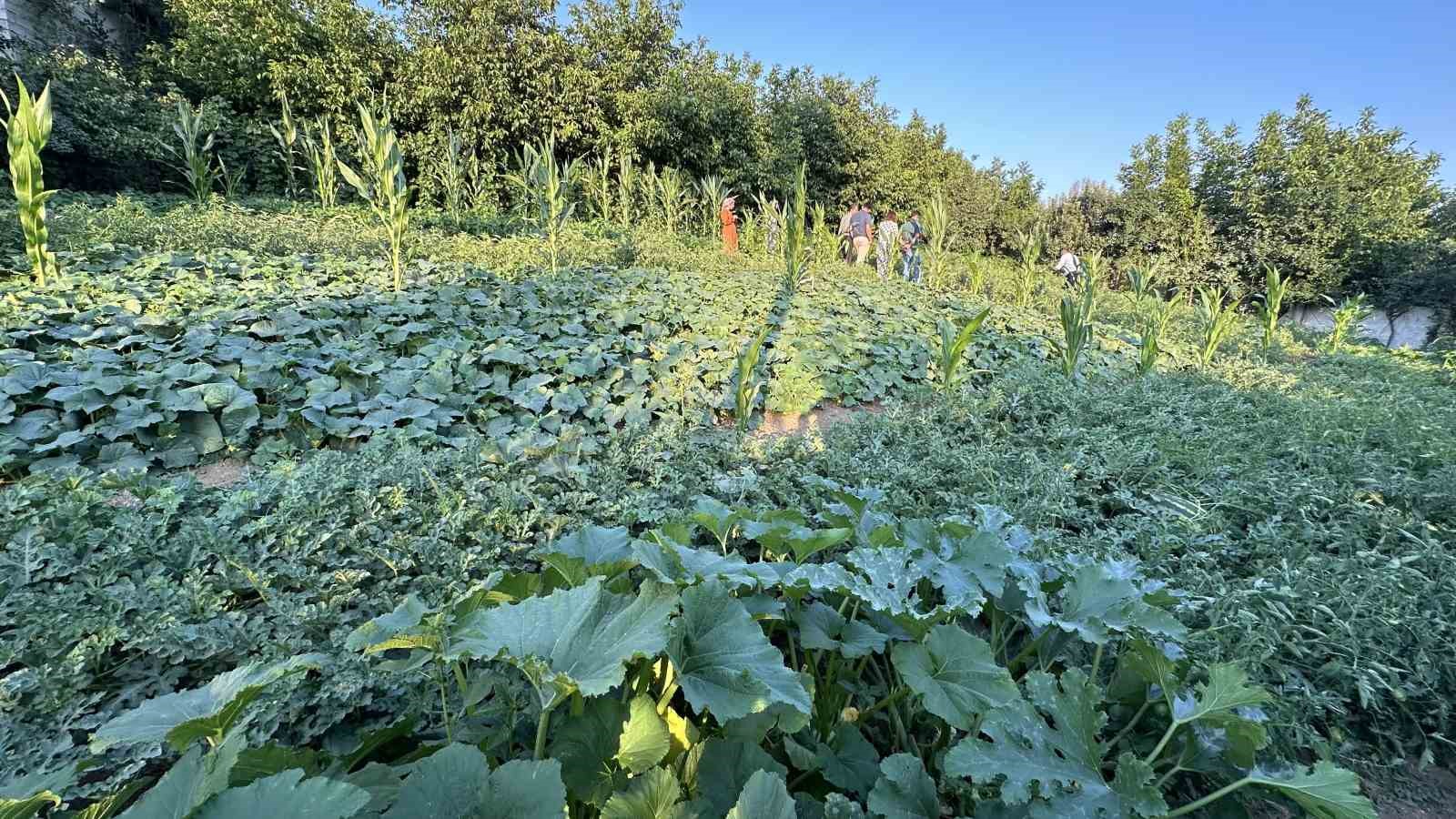 Yüksekova’da örnek çiftçi: A’dan Z’ye tüm ürünlere hayat verdi