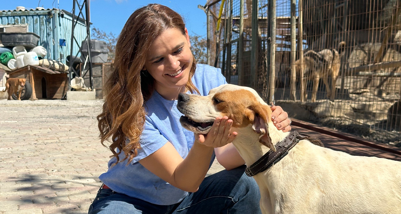 Patili dostlar  yeni yuvalarını arıyor