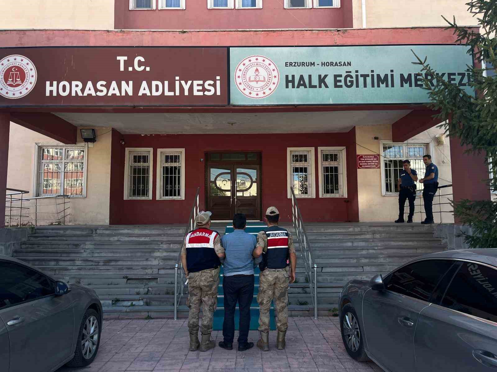Büyükbaş hayvan hırsızları jandarmadan kaçamadı