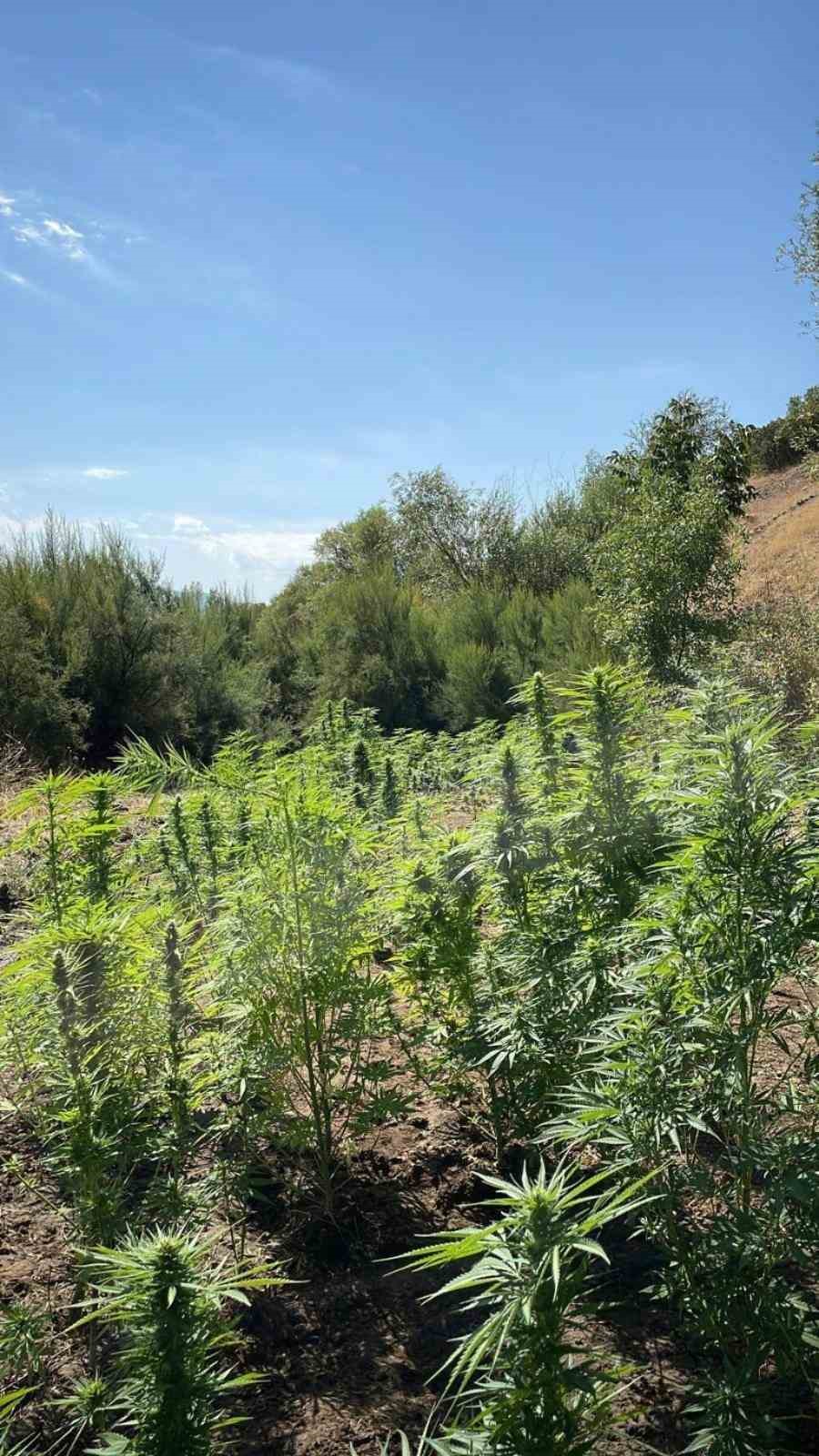 Bingöl’de uyuşturucu madde ele geçirildi