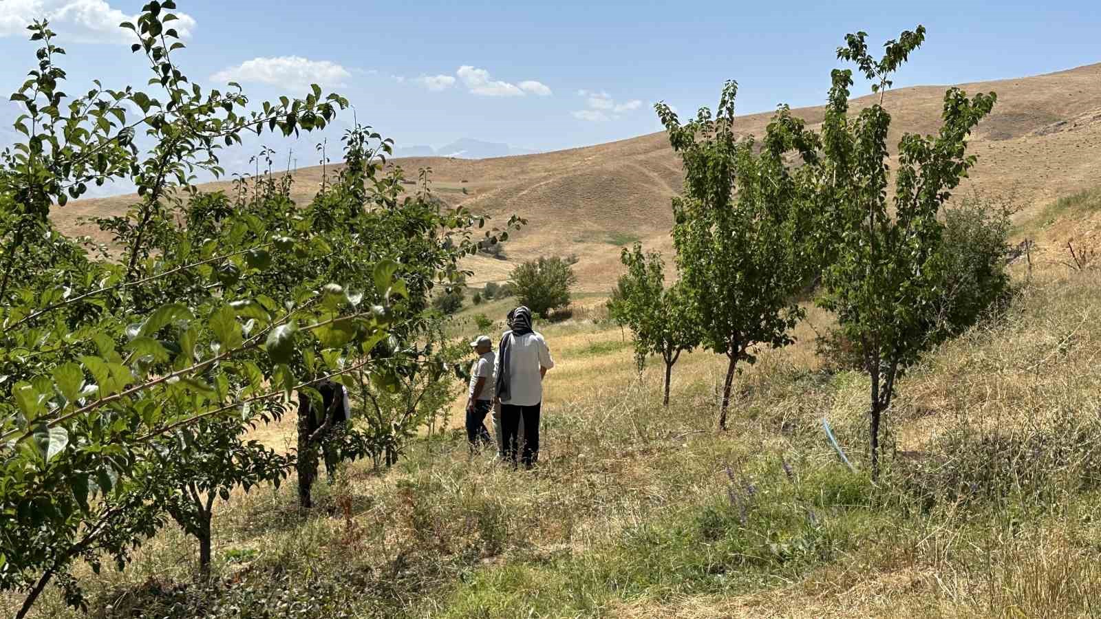 Hem öğretmen hem çiftçi