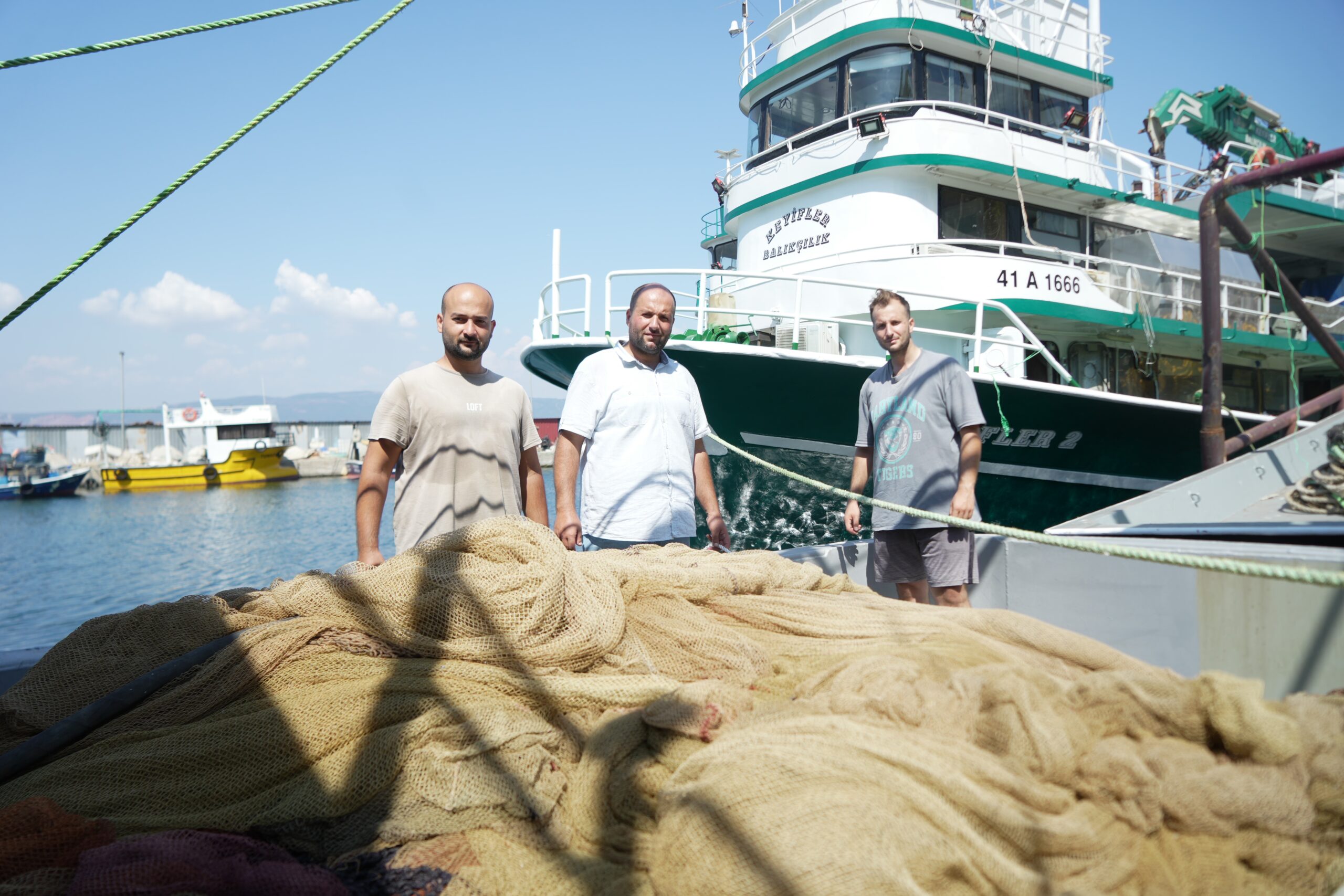 Bu sene palamutta bolluk bekleniyor