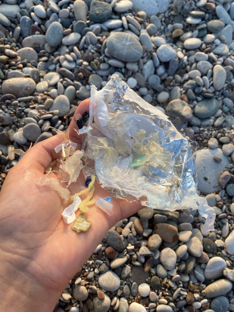 Caretta carettaların plastiklerle mücadelesi