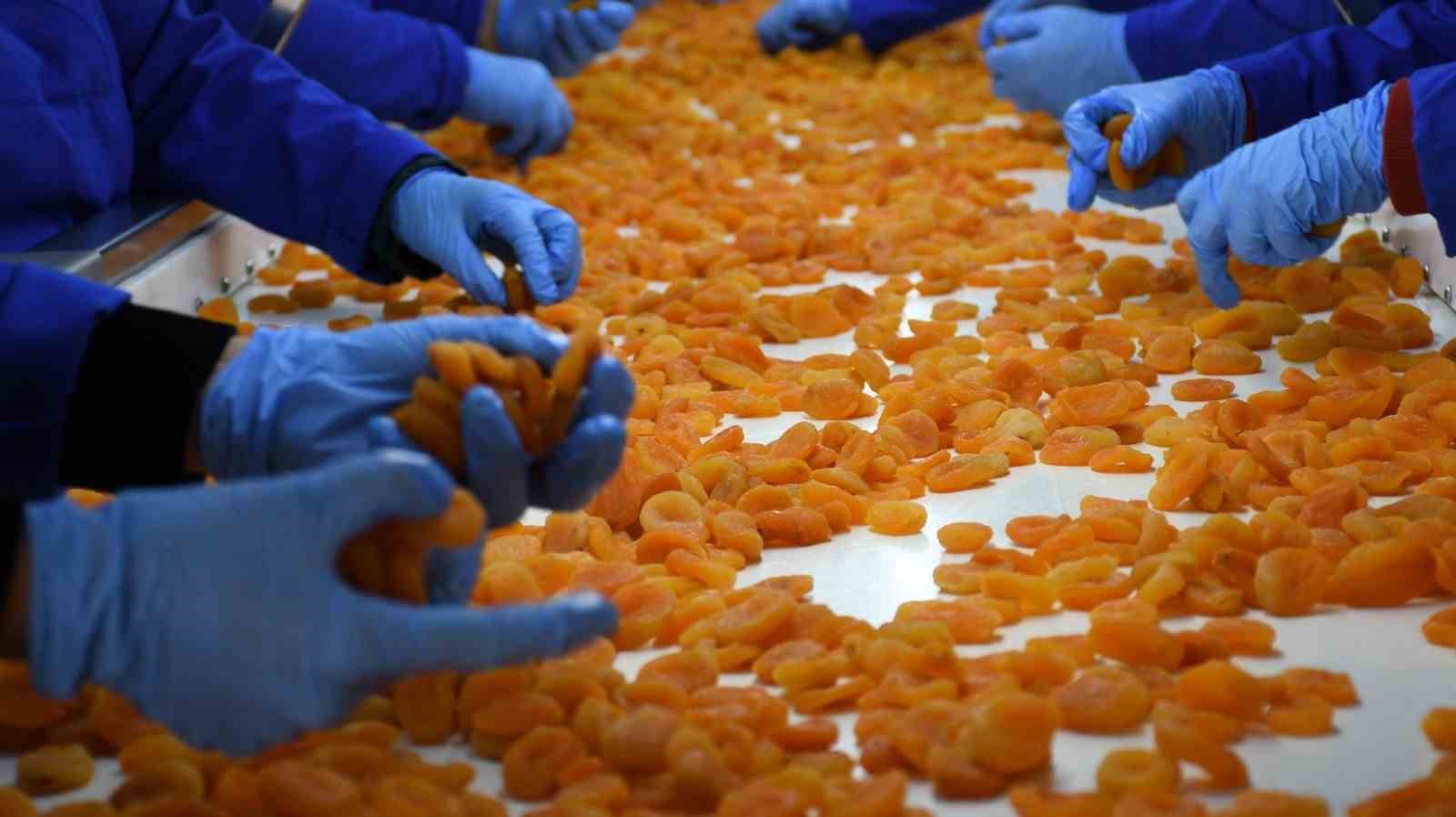 Kayısıda taban fiyatı açıklandı