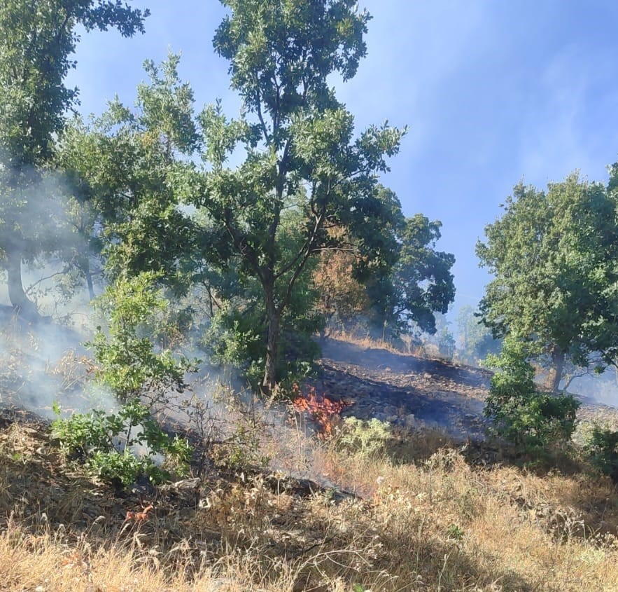 Malatya’da 4 ayrı noktada anız ve orman yangını