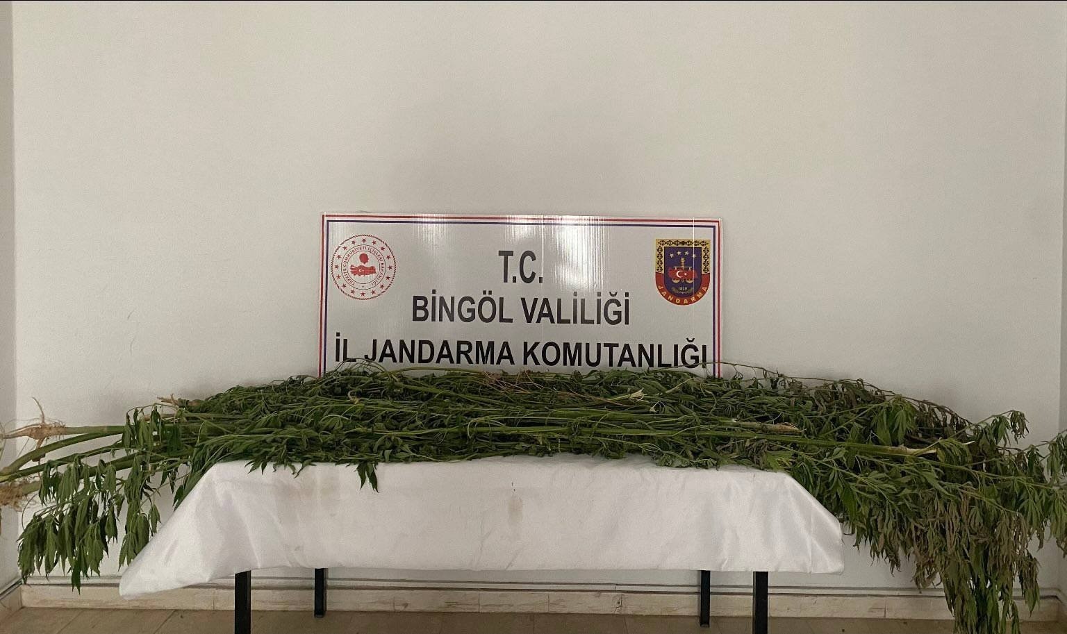 Bingöl’de uyuşturucu operasyonu