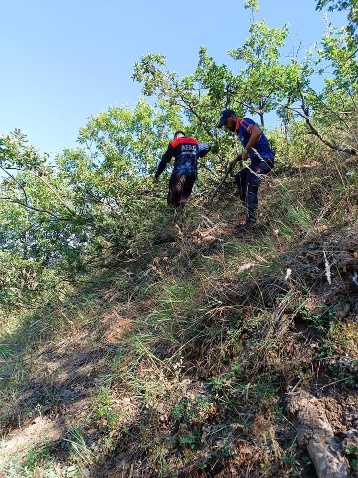 Bitlis’te 4 gündür kayıp olan kız çocuğu sağ bulundu