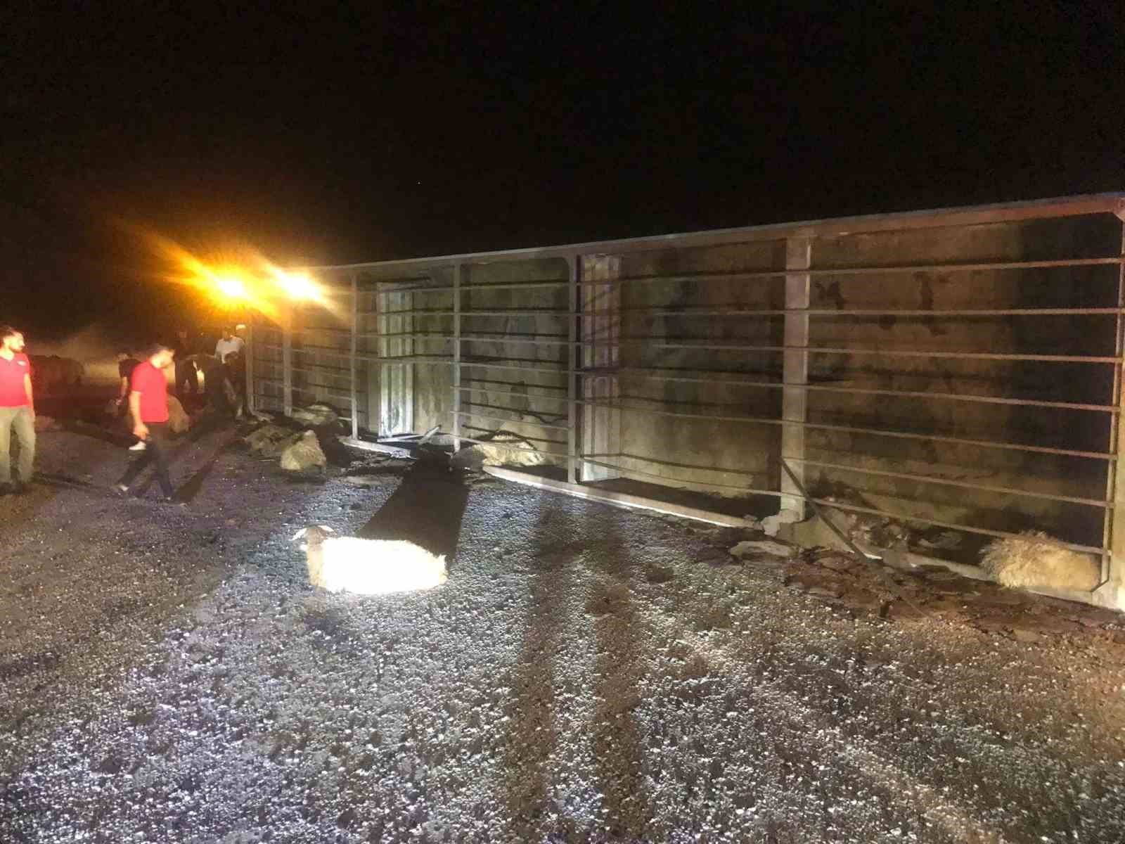 Bitlis’te tır devrildi: 63 koyun telef oldu