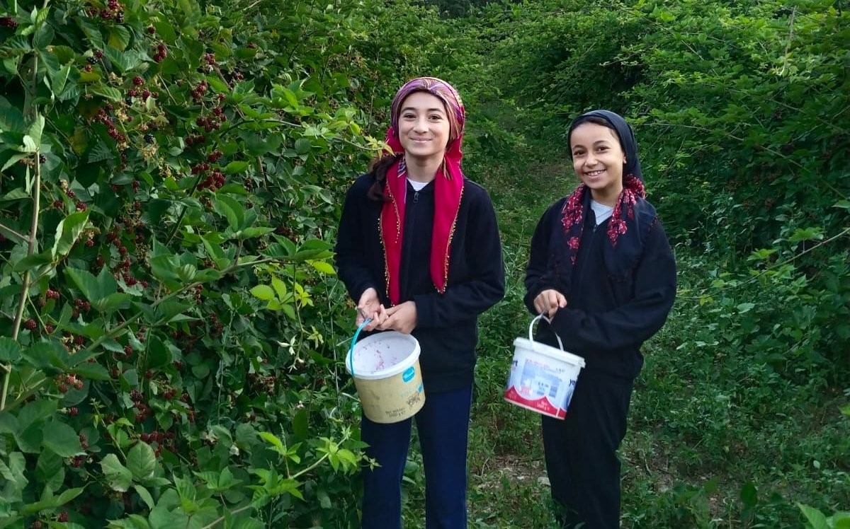 Böğürtlen  birçok derde deva!