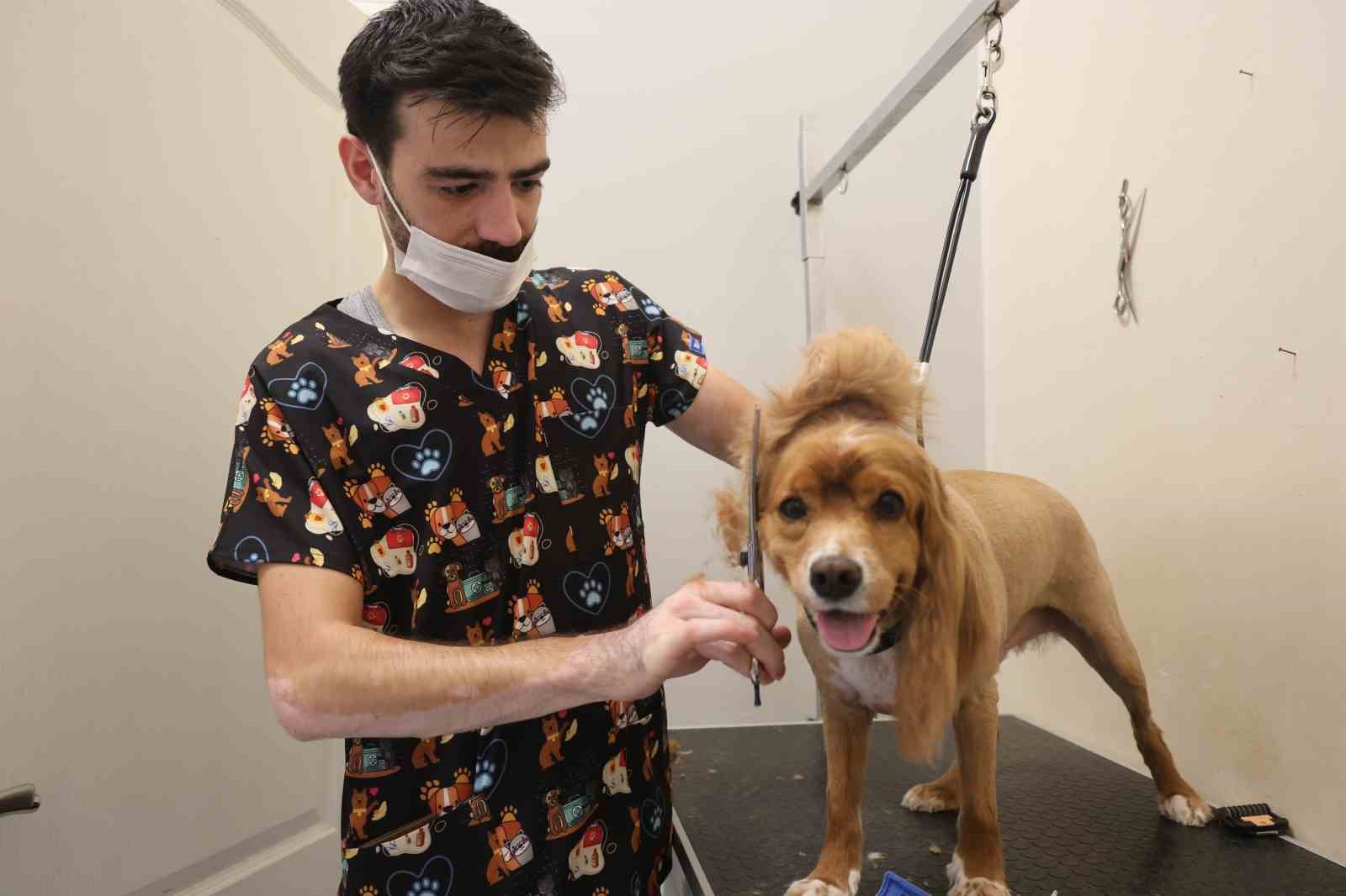 Tüy ve tırnak bakımında bölgenin en şirin merkezi: Bu kuaförde sadece köpekler tıraş oluyor
