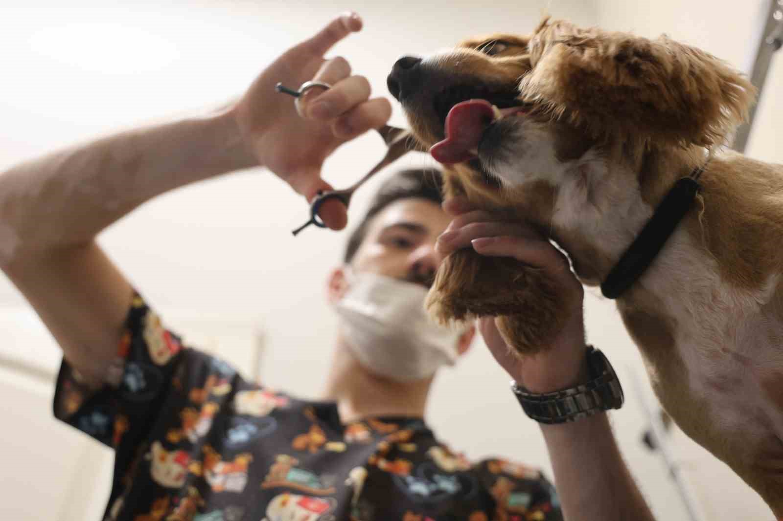Tüy ve tırnak bakımında bölgenin en şirin merkezi: Bu kuaförde sadece köpekler tıraş oluyor