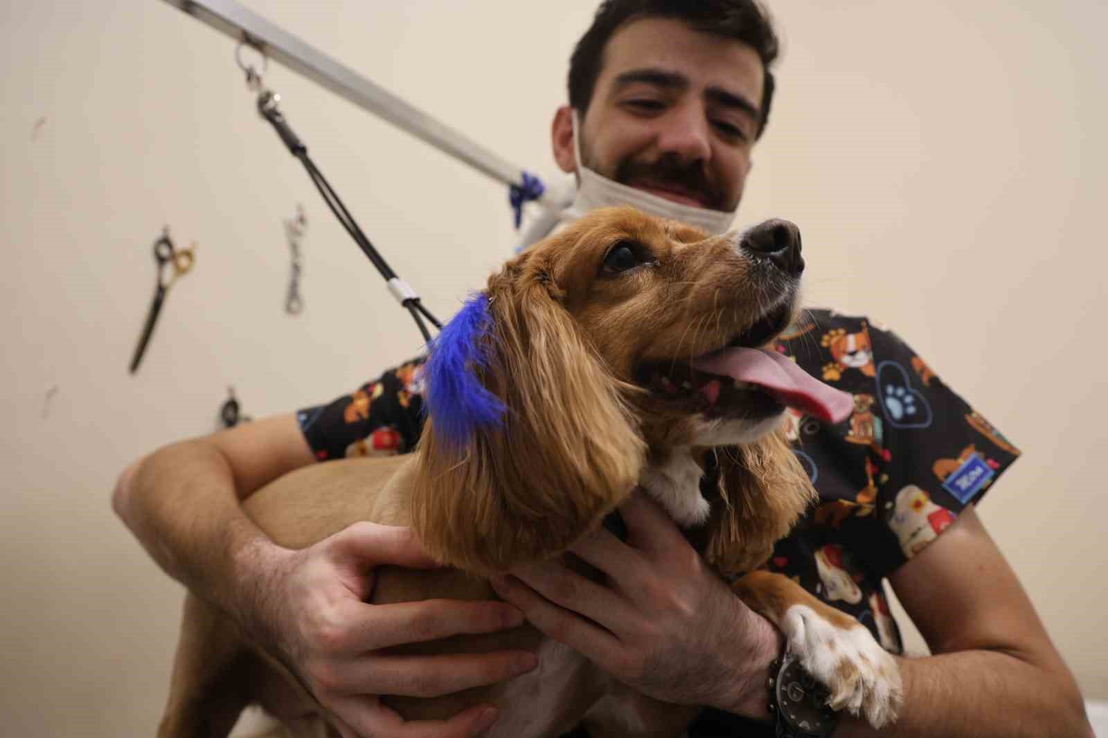 Tüy ve tırnak bakımında bölgenin en şirin merkezi: Bu kuaförde sadece köpekler tıraş oluyor
