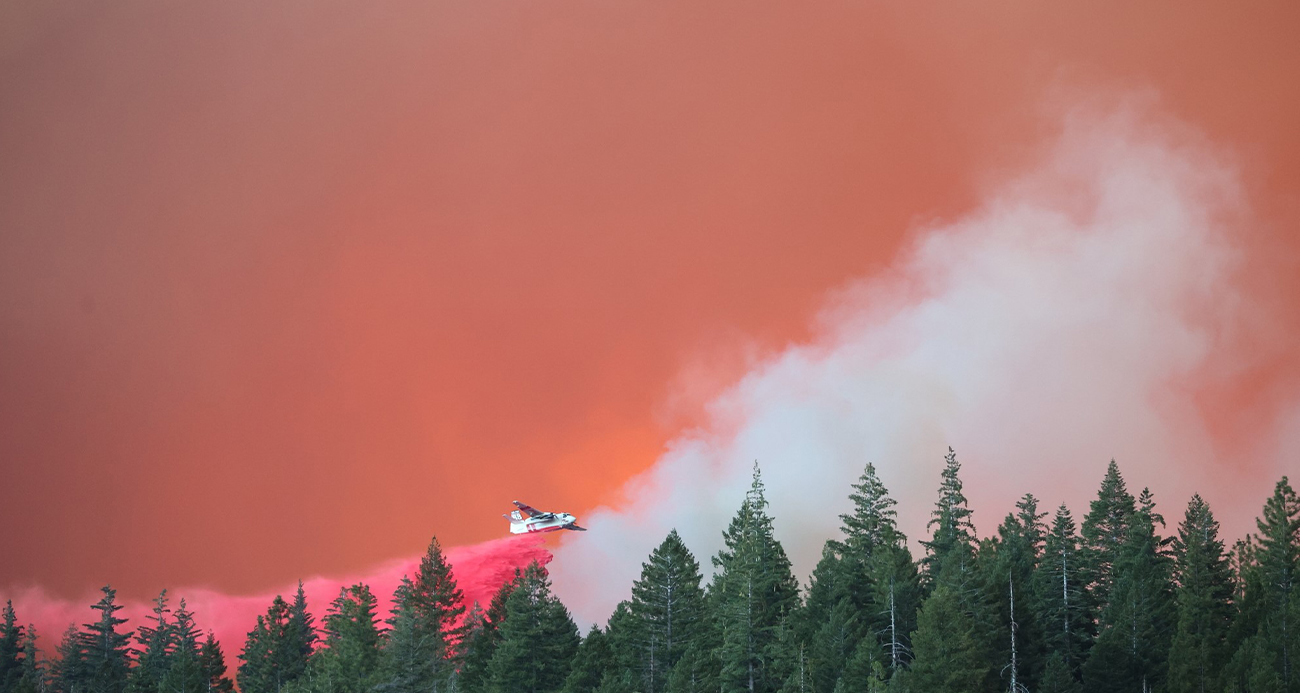 ABD’de 400 bin dönümden fazla alan kül oldu