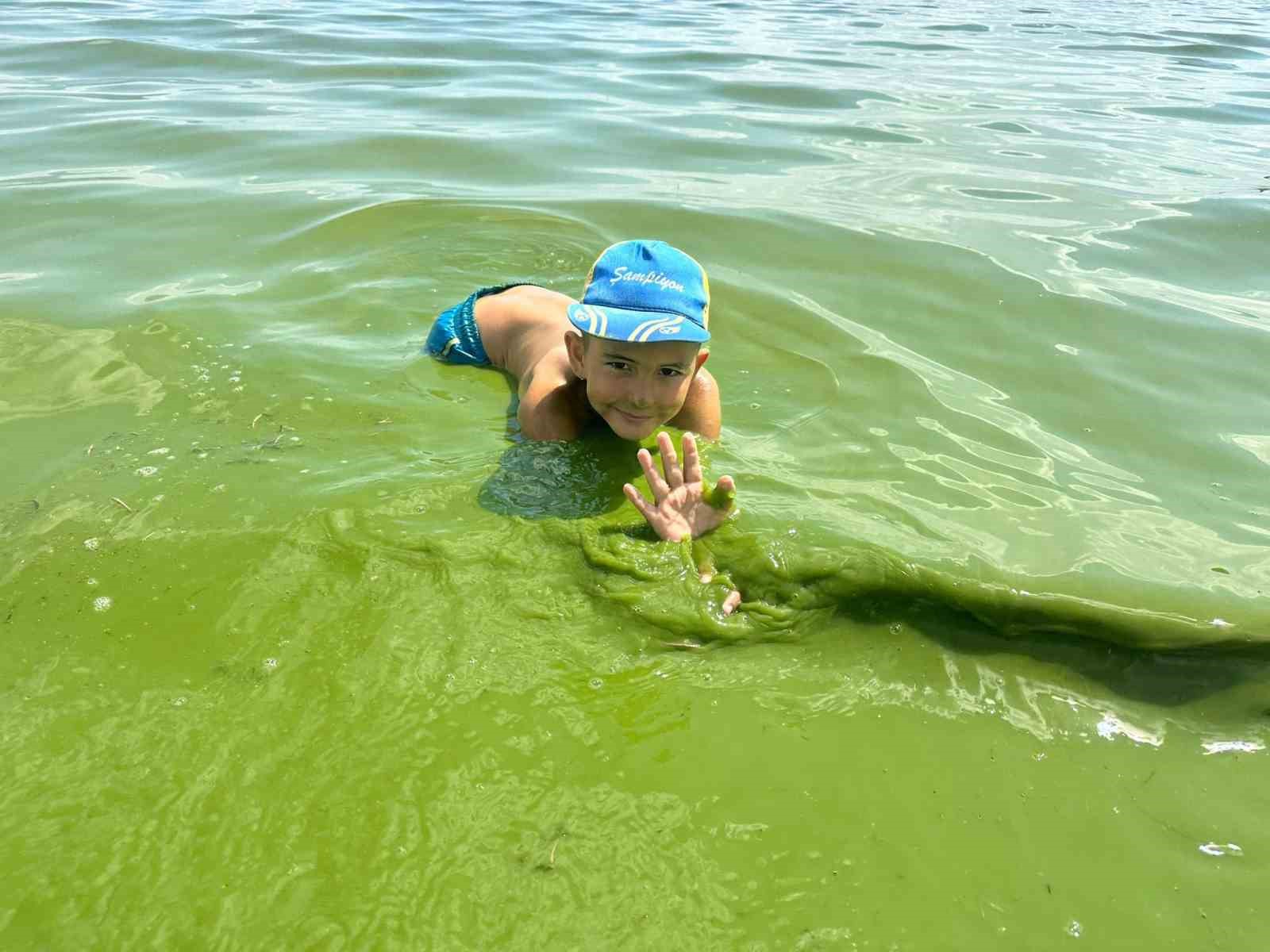 Çıldır Gölü yeşile büründü