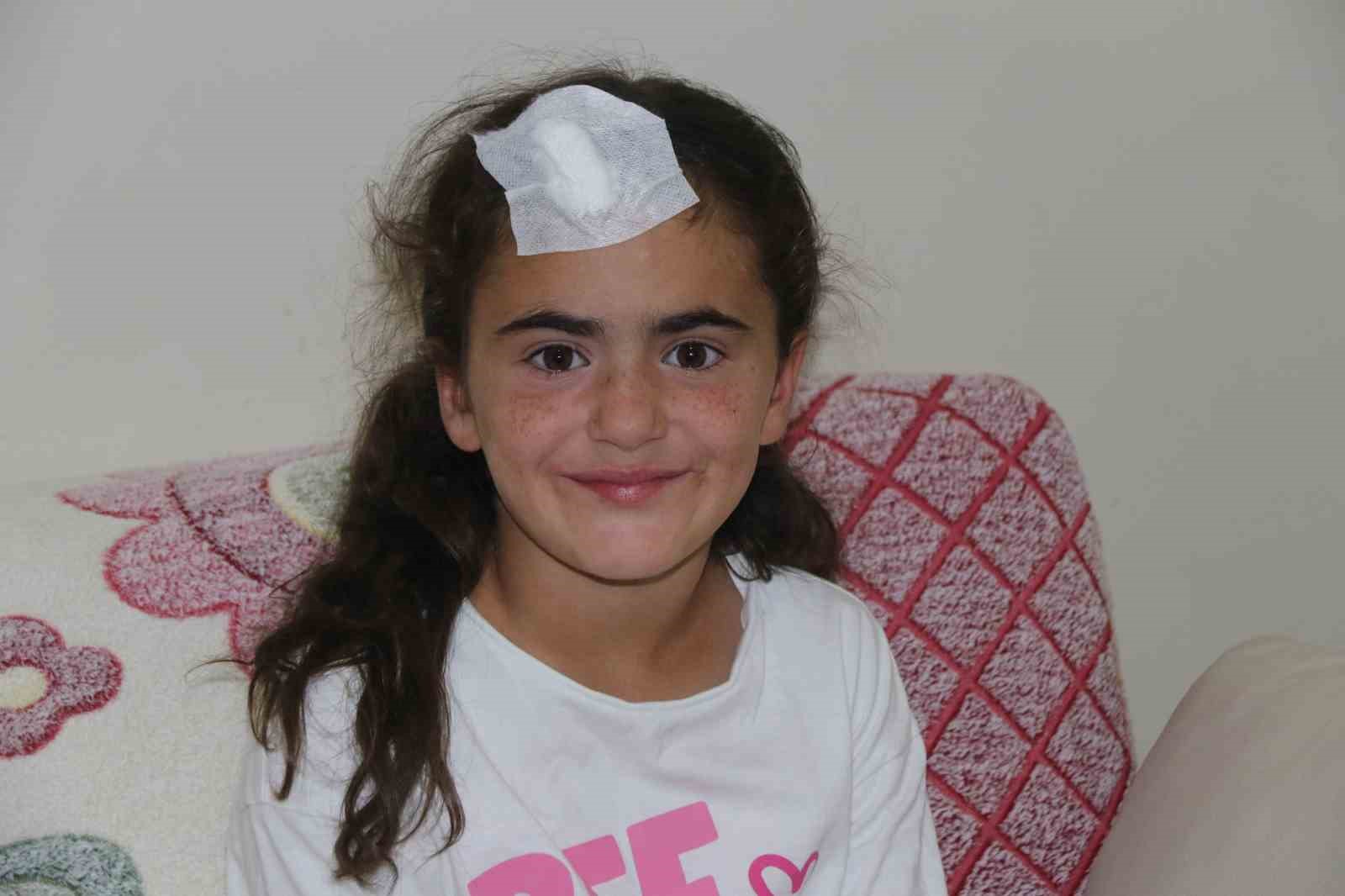 Cumhurbaşkanı Recep Tayyip Erdoğanın desteğiyle  küçük Ada sağlığına kavuşacak