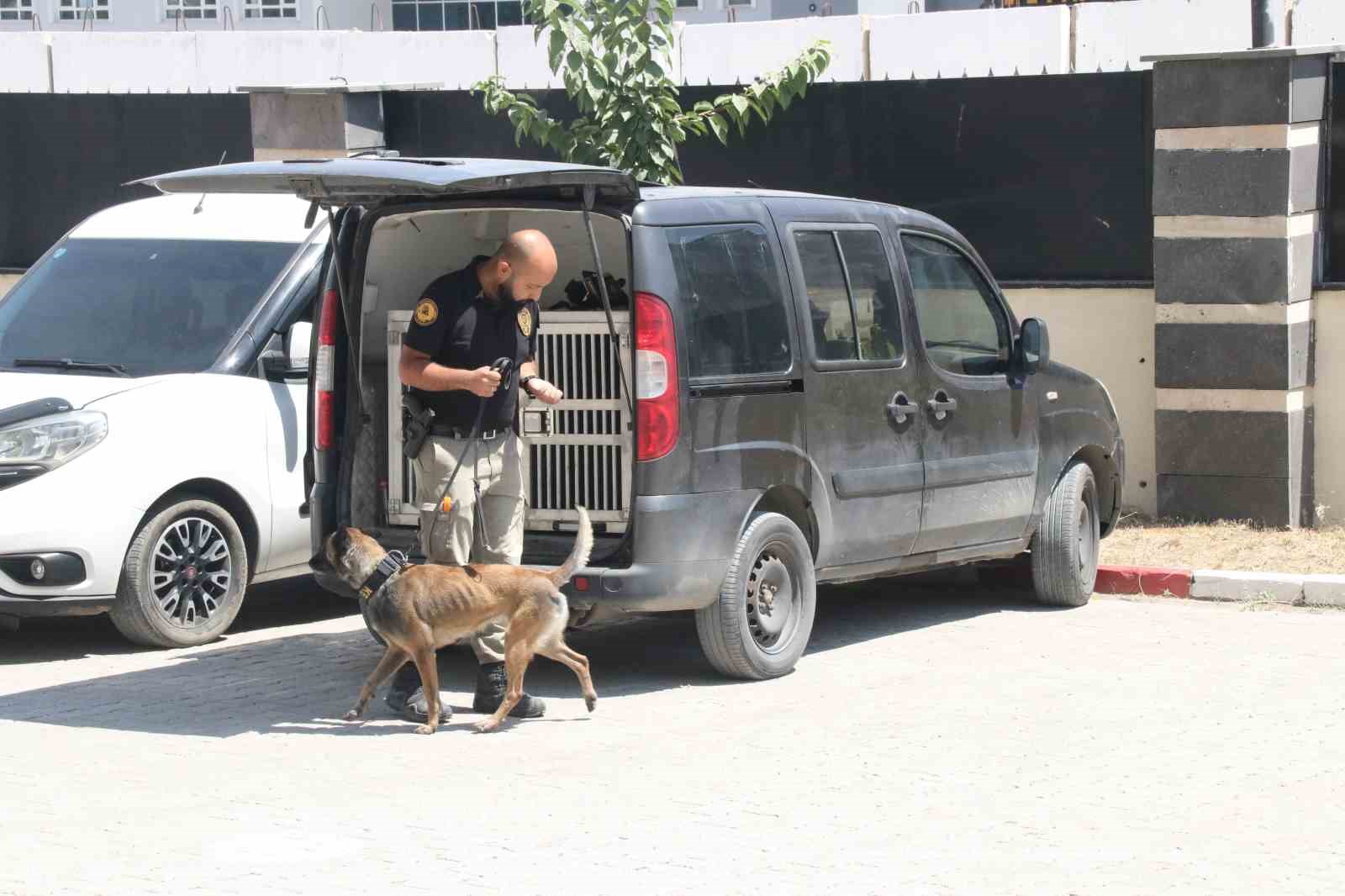 Narkotik köpeği Gill ilk görevinde uyuşturucuya geçit vermedi