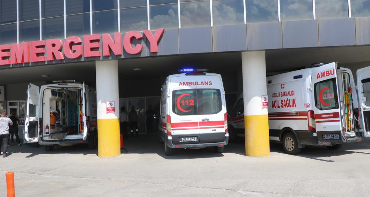 Başıboş köpek dehşeti yaşattı