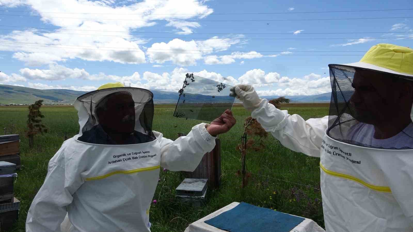 Fiyatı dudak uçuklatıyor