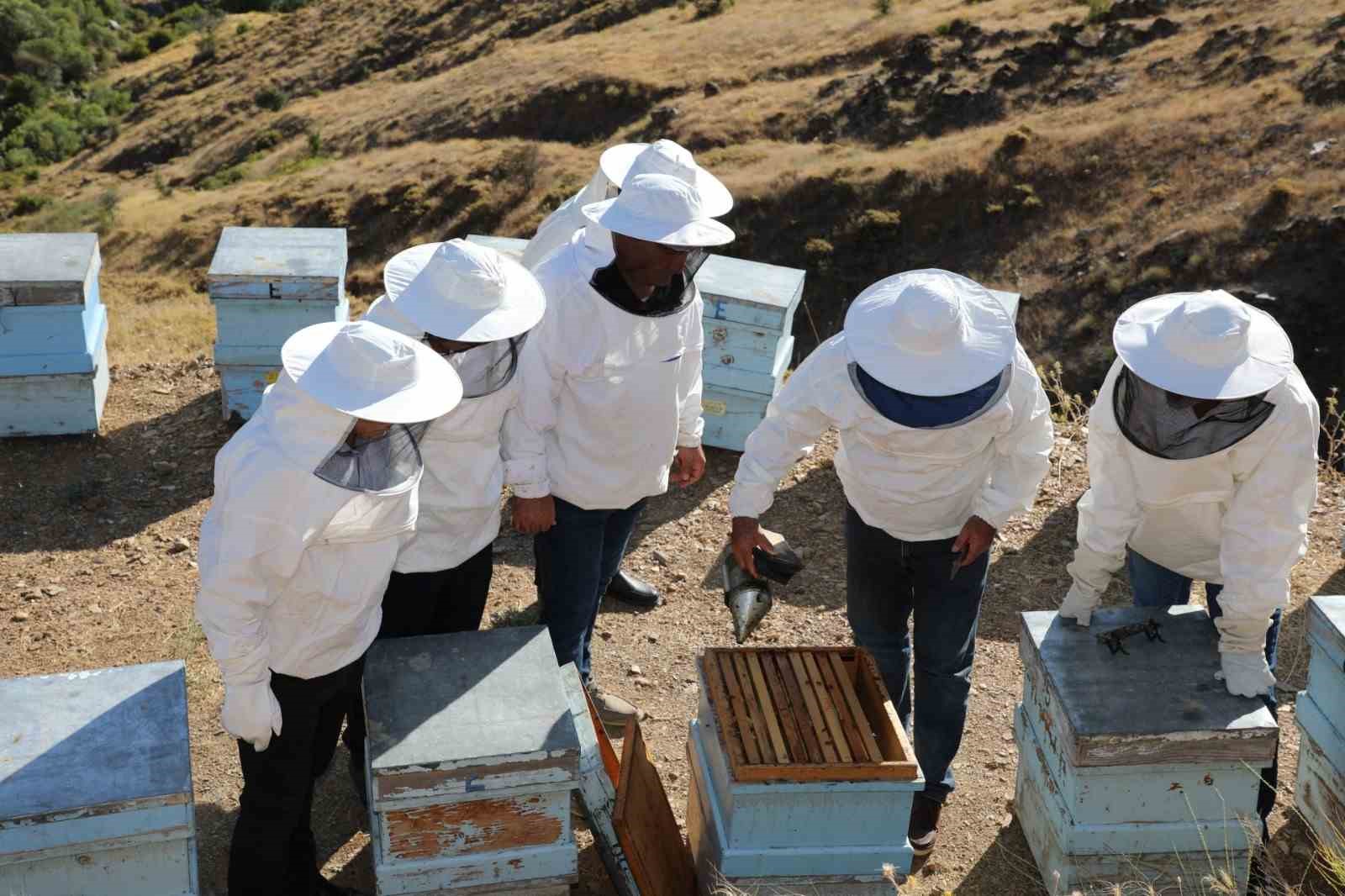 Geven balı hasadı başladı