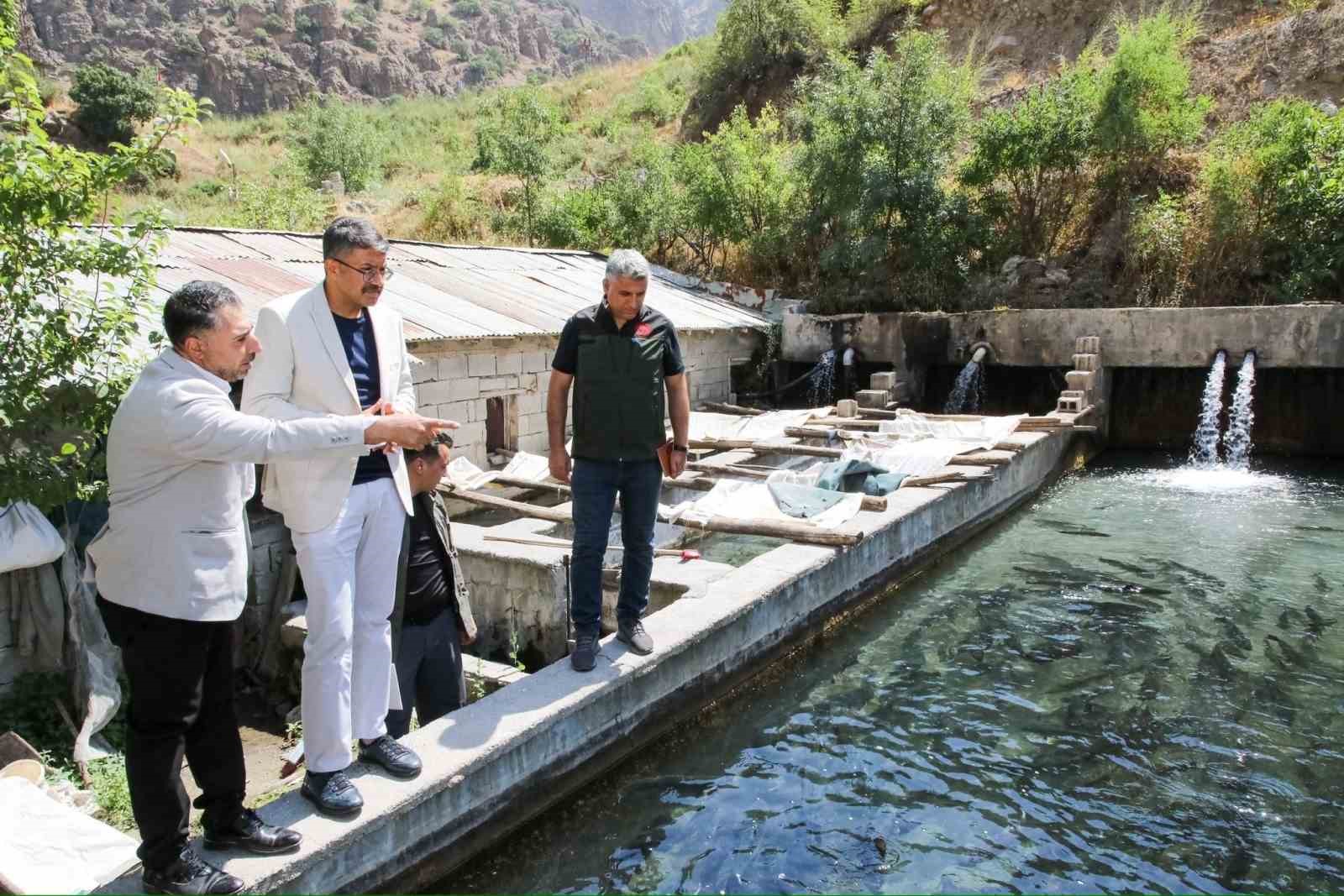 Hakkari Valisi Çeik, alabalık tesislerinde incelemelerde bulundu