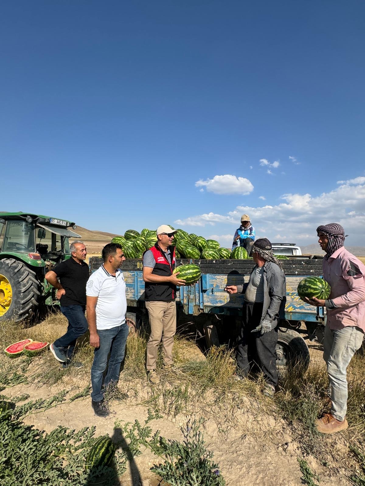 Vanlı çiftçilerin  ilk kavun, karpuz hasadı