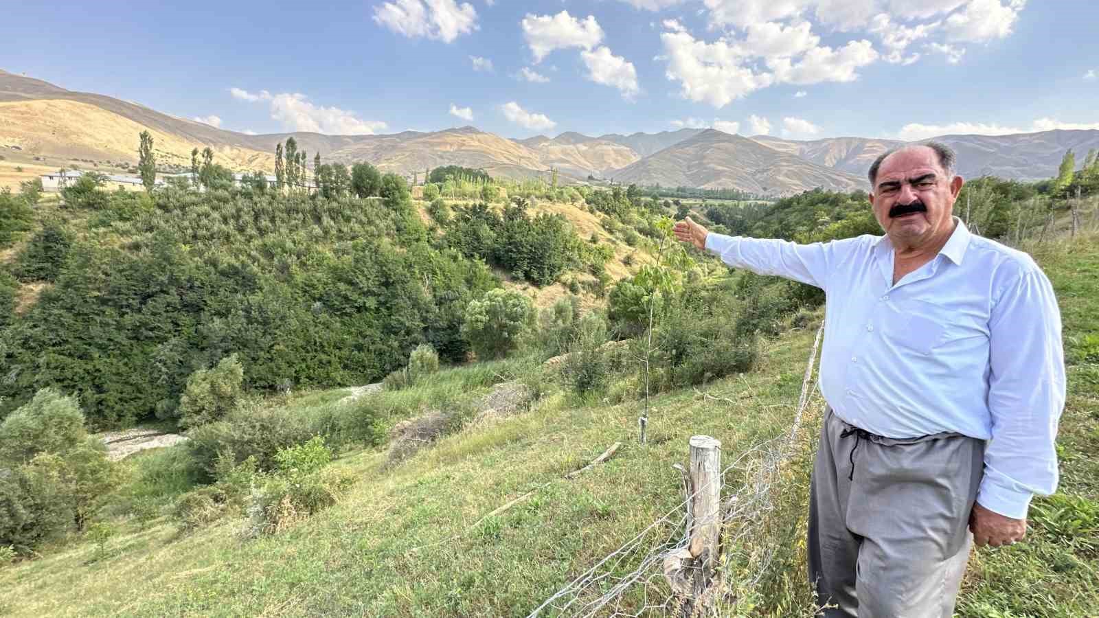 İran sınırına yeşil vadi