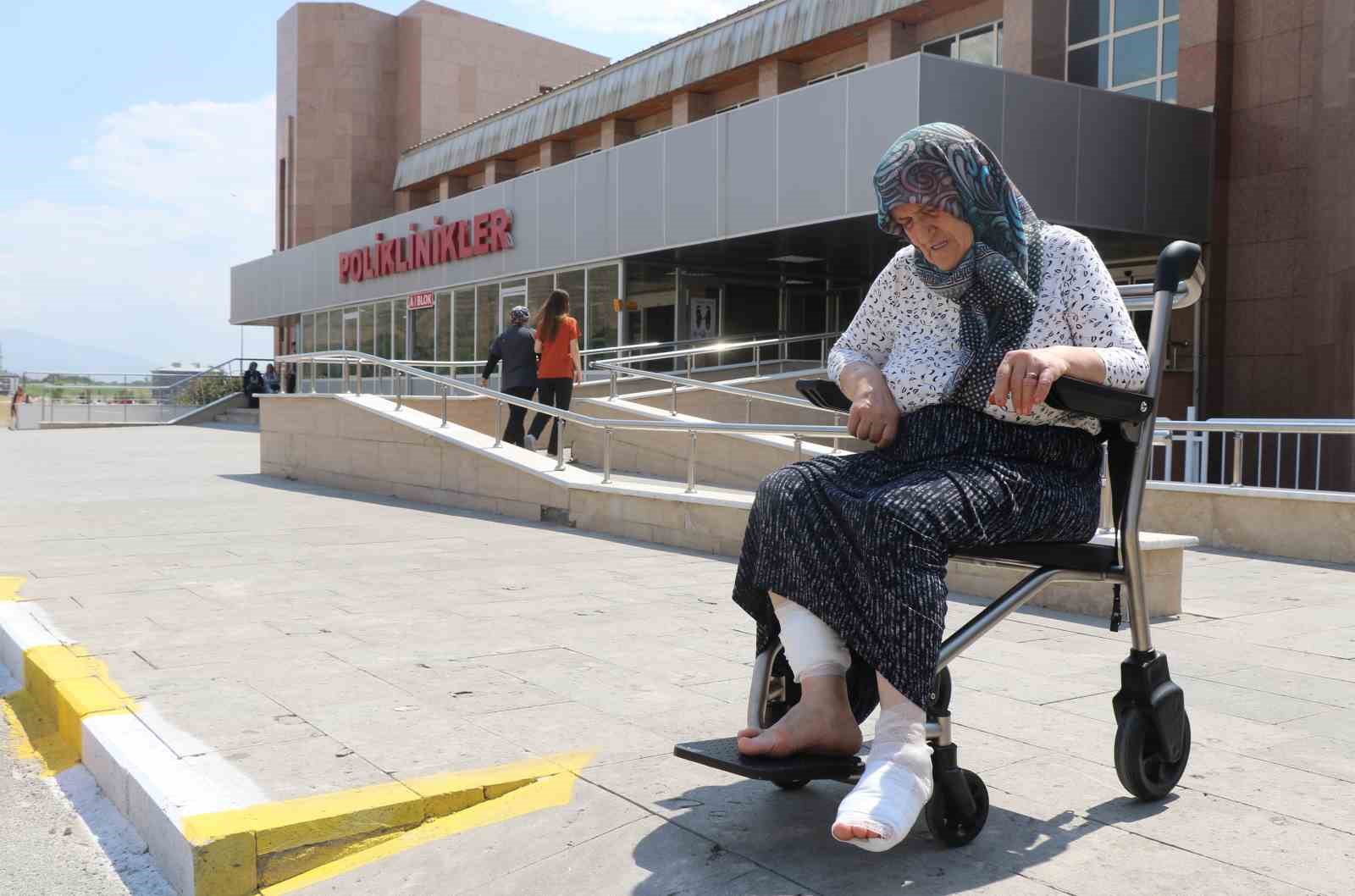 Köpeklerin saldırısına uğrayan kadın dehşet anlarını anlattı