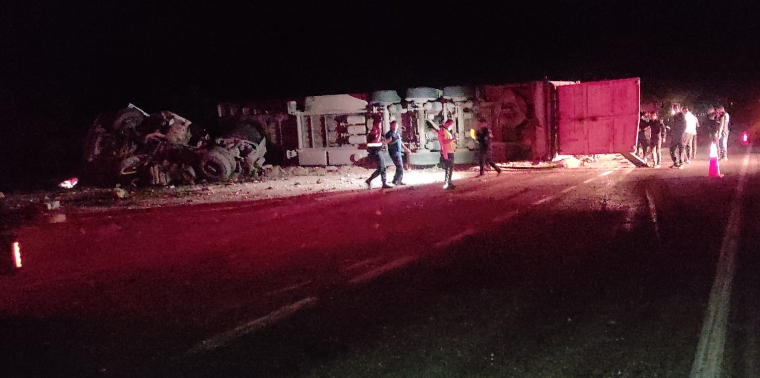 Koyun yüklü tırın devrilmesi sonucu oluşan kazada onlarca koyun telef oldu