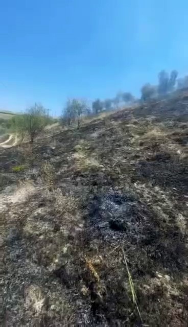 Otluk alanda korkutan yangın