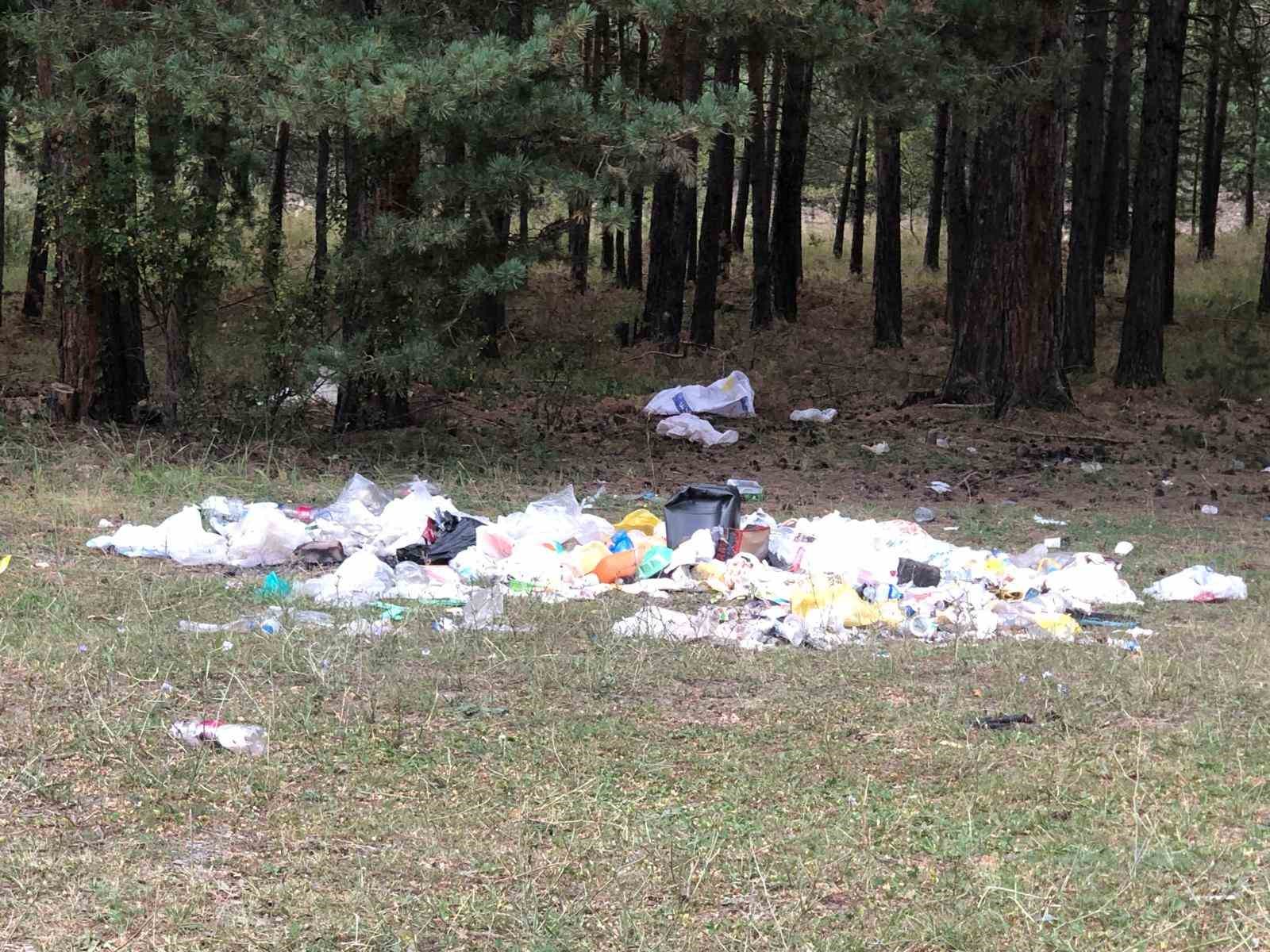 Piknikçiler adeta çevreyi katletti