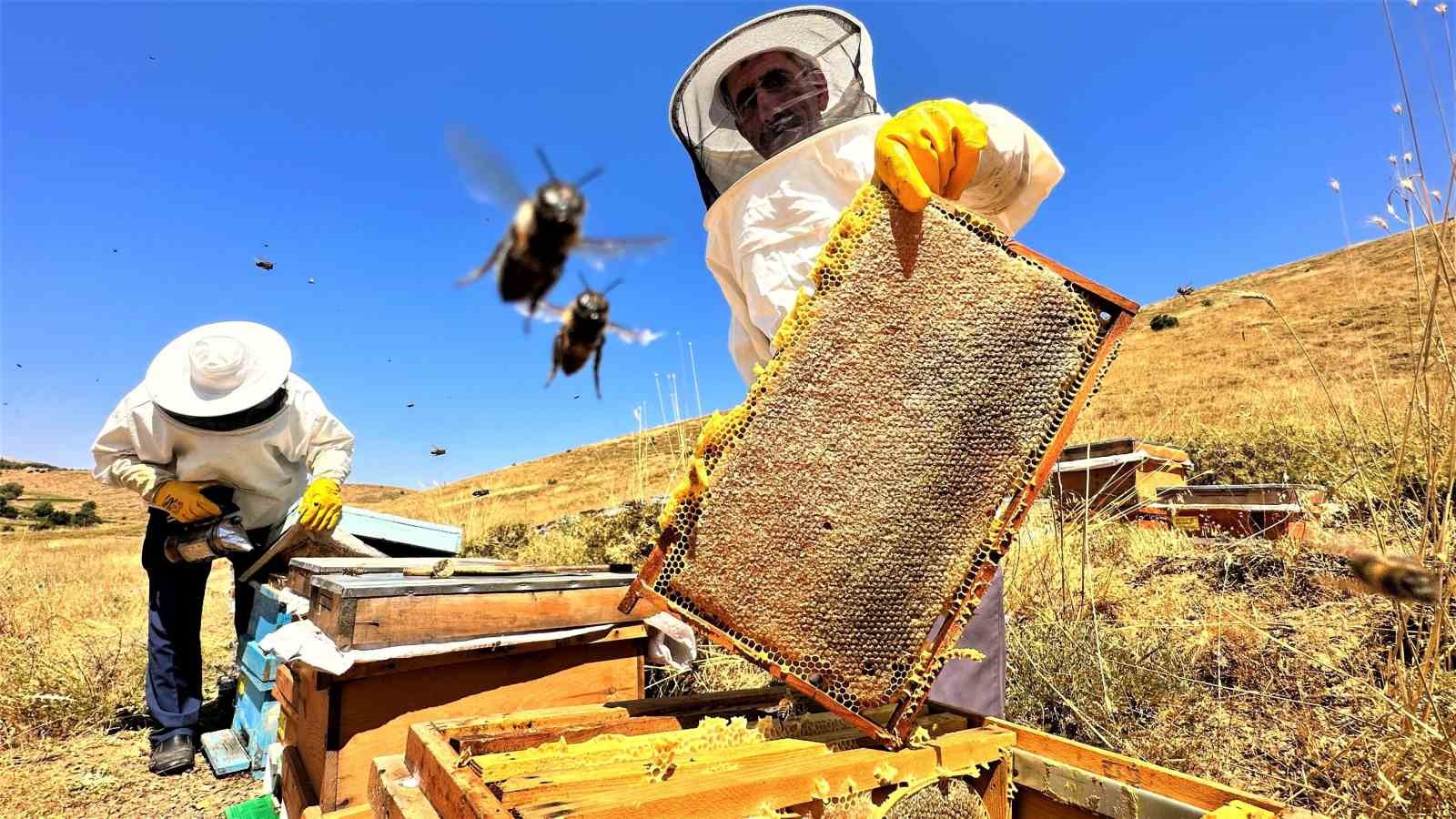 Son yıllarda yaşanan aşırı sıcaklık ve  iklim değişikliği bal rekoltesini düşürdü