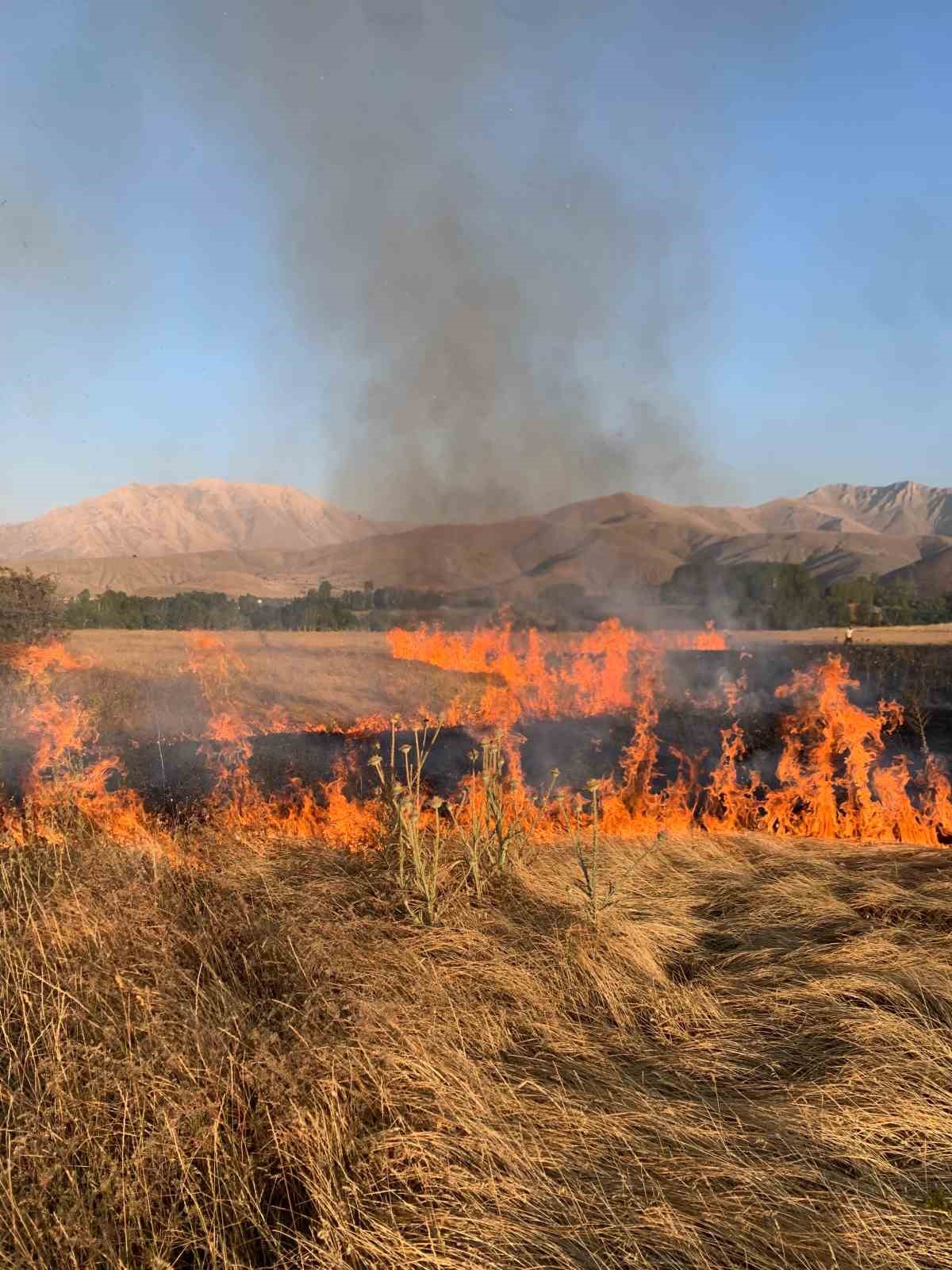 Van’da  ot yangını