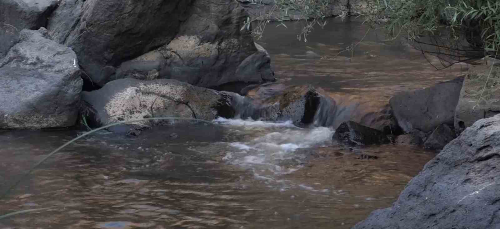 Vanlı doğa fotoğrafçısı Deliçay’da çöp topladı