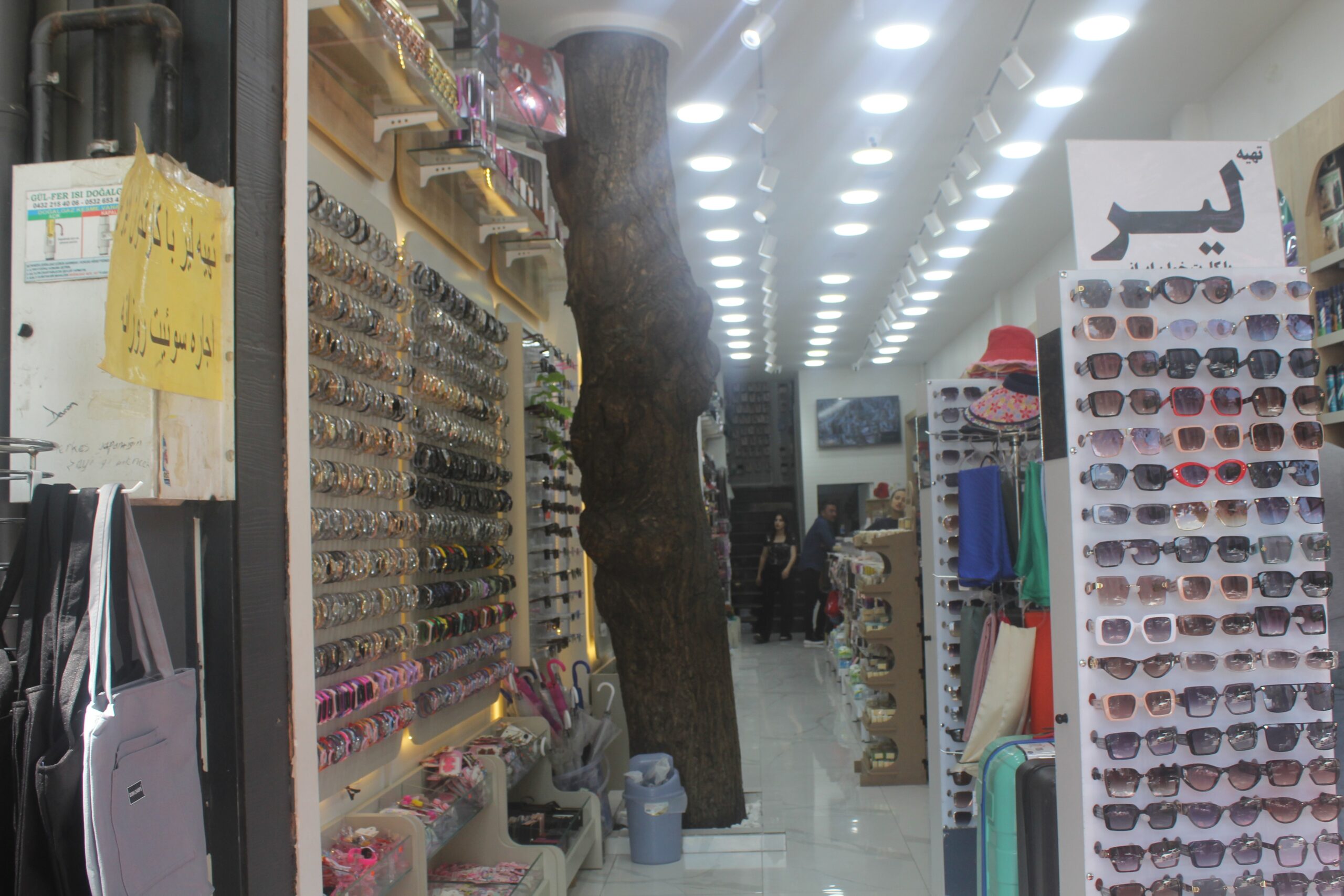 Van’da iki katlı iş yeri ceviz ağacına göre inşa edildi