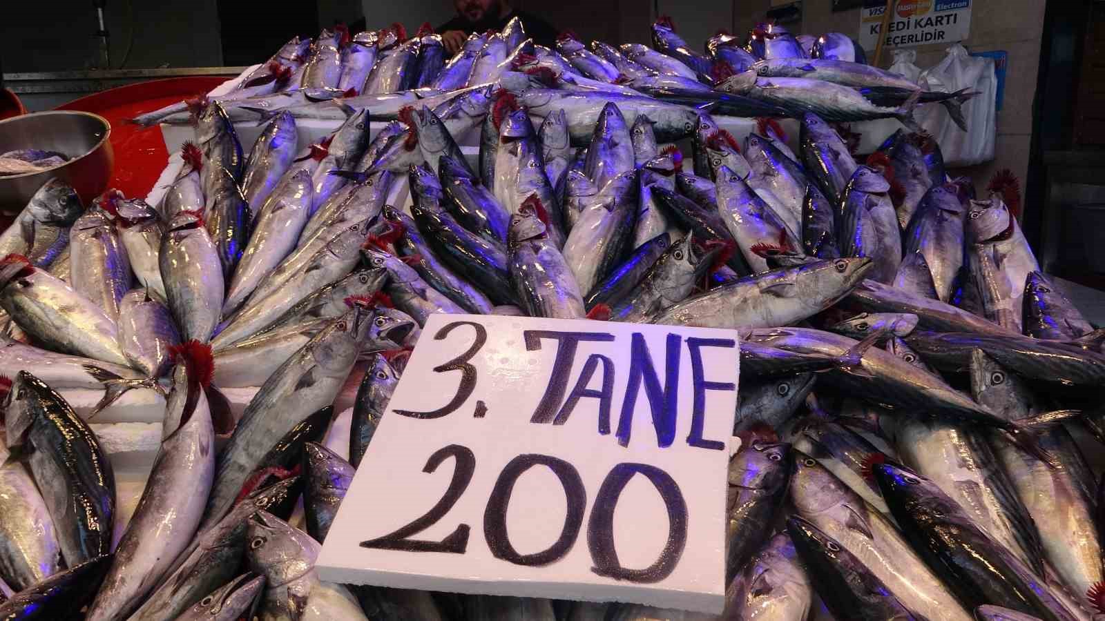 Palamut 75 TL’ye düştü