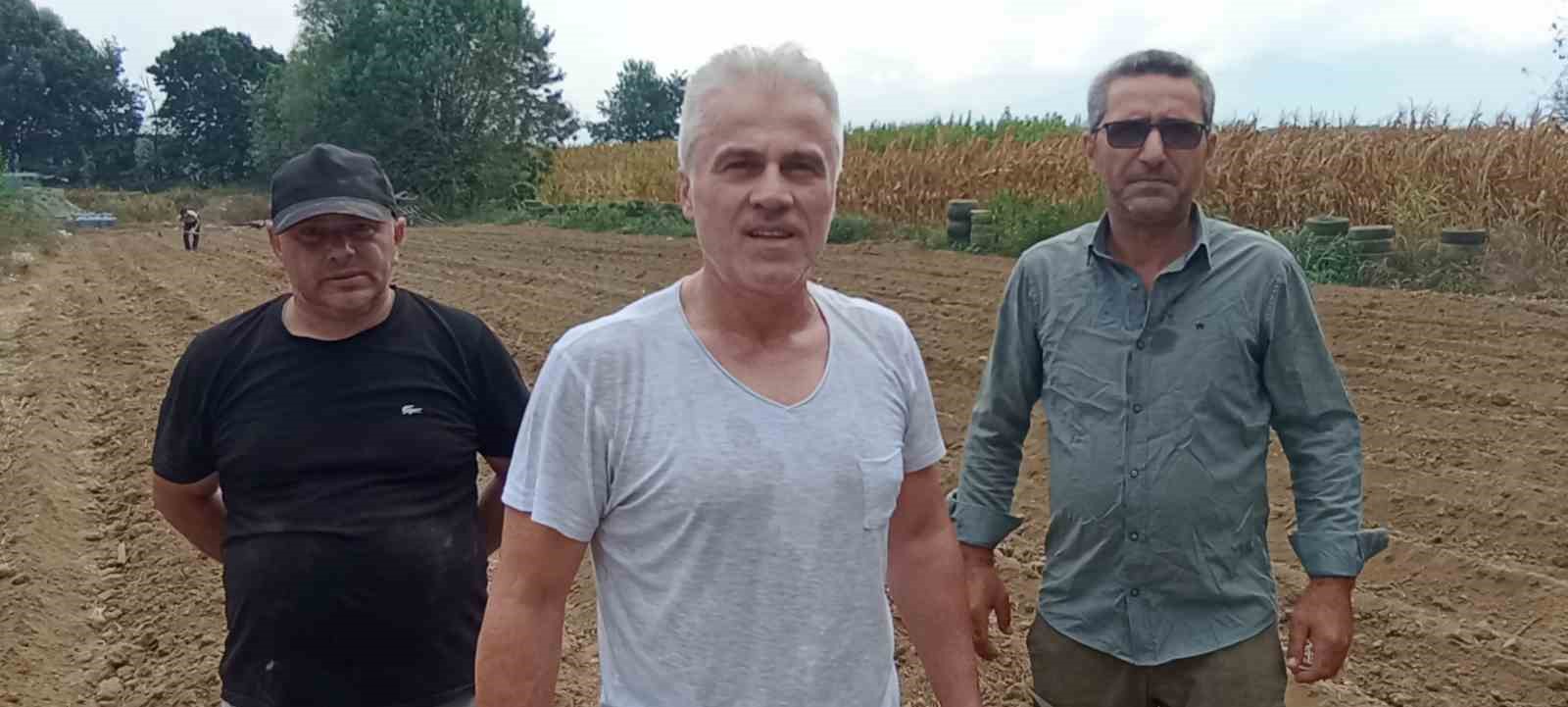 Fındık ve mısıra alternatif ürün: Safran