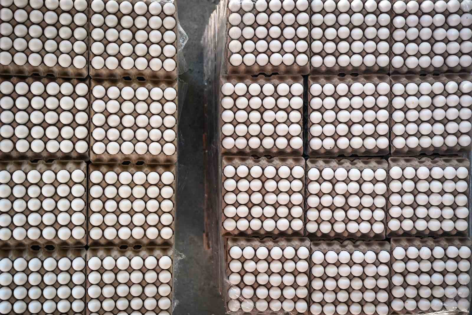 Yumurta fiyatları eski seviyeye döndü