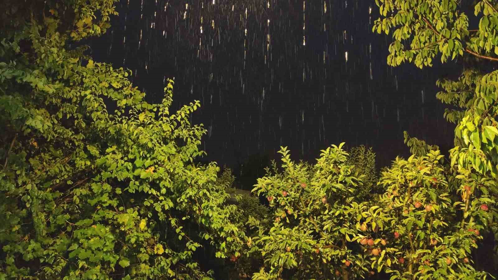 Van’da şiddetli yağış etkili oldu