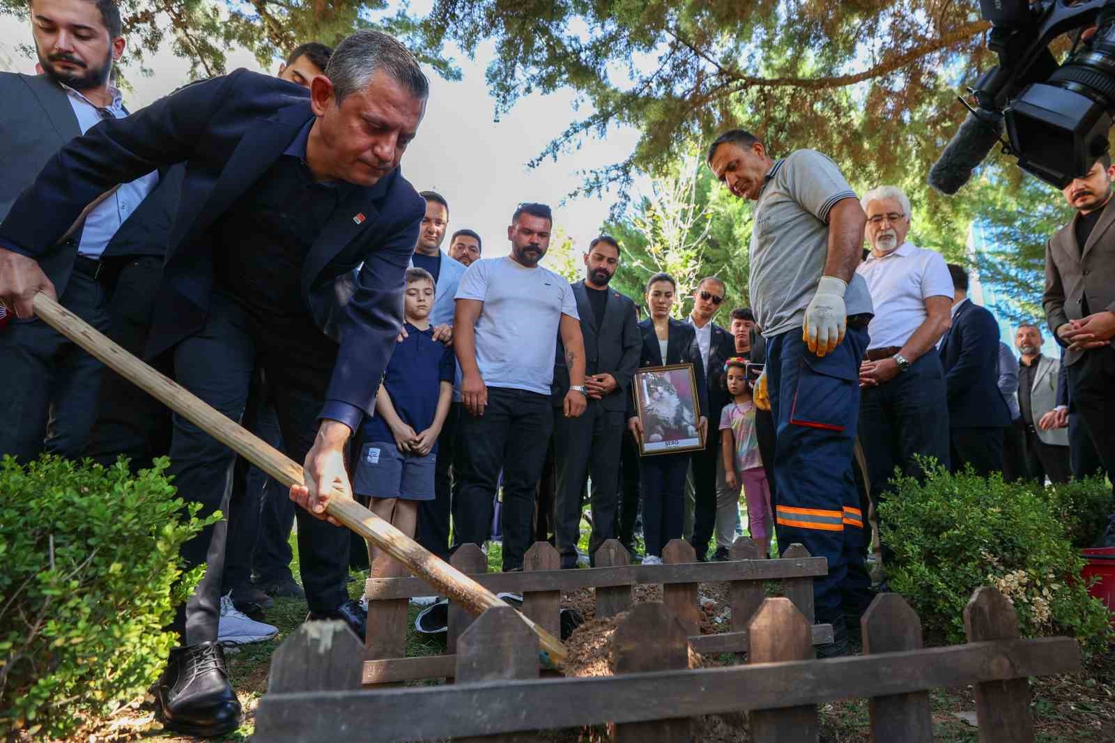 CHP Genel Merkezinde kedi için defin töreni yapıldı