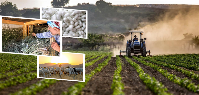 406,5 milyon liralık destek çiftçilerin hesaplarına yatırıldı