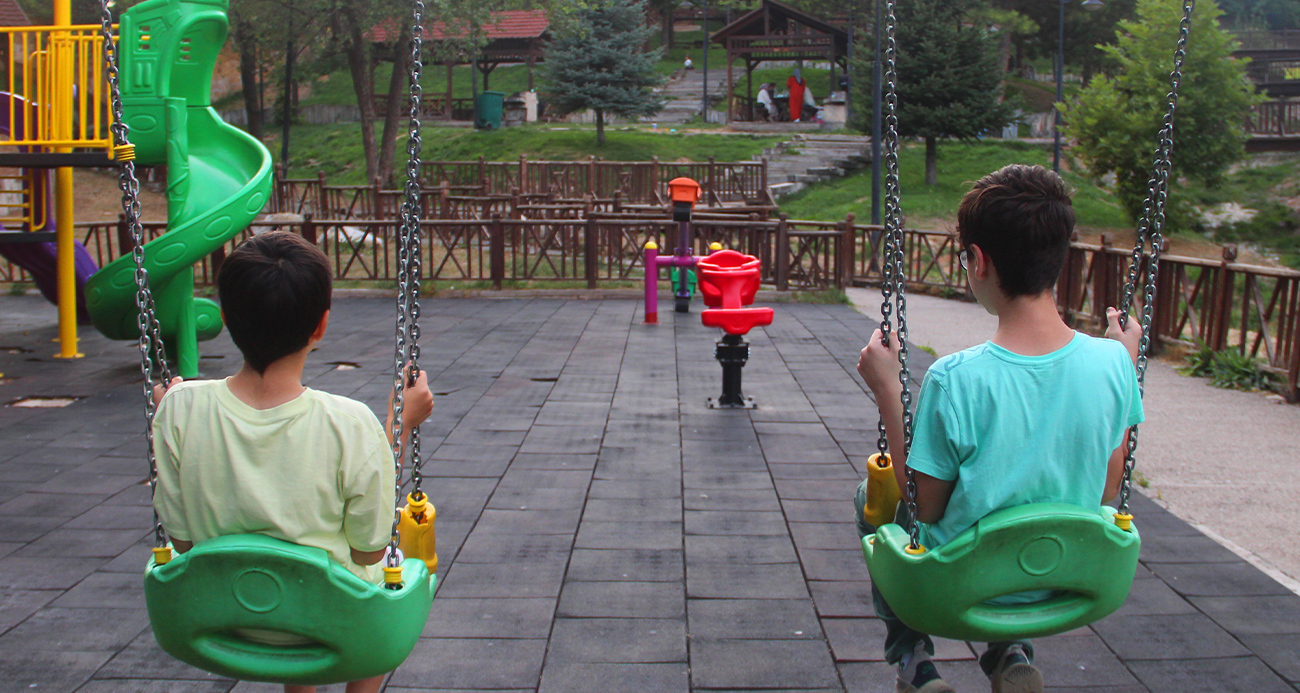 Başıboş köpekler yine saldırdı