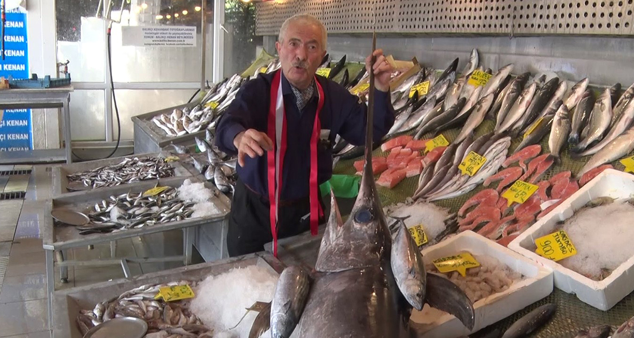 Denizlerde palamut ve kılıç balığı bolluğu yaşanıyor
