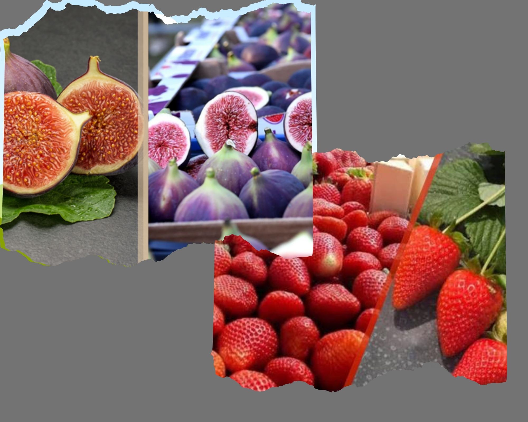 Bursa Siyah İnciri ve Hüyük Çileği AB’den coğrafi işaret tescili aldı