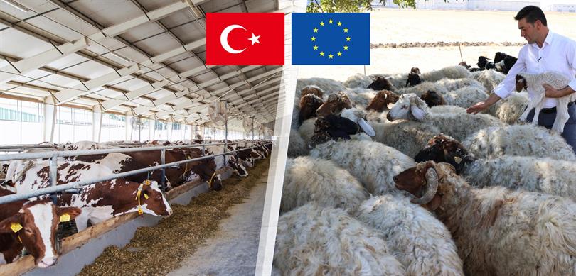 Hayvancılık ve gıda işlemelerine 21,3 milyar lira destek!