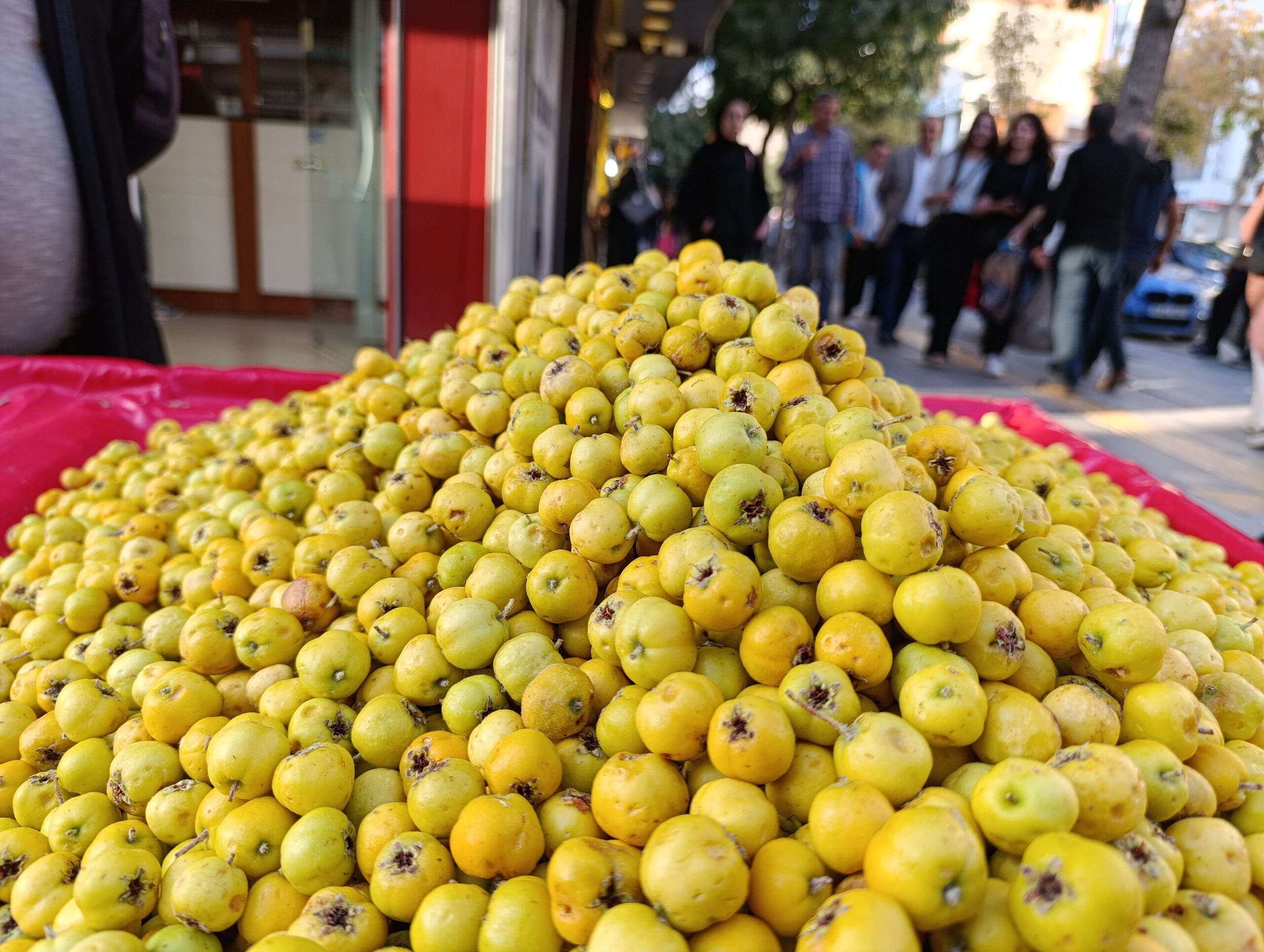 Kışın habercisi alıç meyvesi, Van’da tezgahlardaki yerini aldı