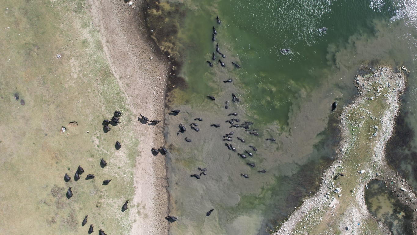 İstanbul’da Afrika’yı aratmayan görüntüler